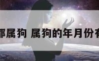 年月都属狗 属狗的年月份有哪些