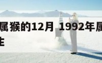 1992属猴的12月 1992年属猴12月出生