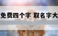 起名字大全免费四个字 取名字大全免费查询四个字