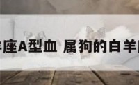 属狗白羊座A型血 属狗的白羊座完美吗