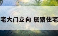 属猪人阳宅大门立向 属猪住宅大门朝向