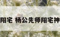 杨公断阳宅 杨公先师阳宅神断妙诀