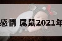 属鼠19年感情 属鼠2021年爱情如何