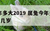 属兔今年多大2019 属兔今年多大2024年六十几岁