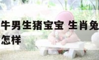 属兔女和属牛男生猪宝宝 生肖兔女和生肖牛男在一起会怎样