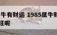 1985属牛有财运 1985属牛财运什么时候最旺呢