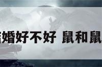 鼠和属鼠结婚好不好 鼠和鼠结婚合适吗
