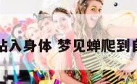 梦见蝉钻入身体 梦见蝉爬到自己身上