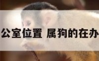 属狗的人办公室位置 属狗的在办公室的位置