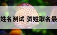 贺天姓名测试 贺姓取名最高分