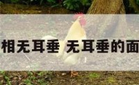 面相无耳垂 无耳垂的面相