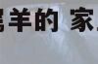 家里有属龙属蛇属羊的 家里有属龙属蛇属羊的好吗