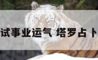 塔罗测试事业运气 塔罗占卜事业运