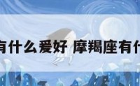 摩羯座有什么爰好 摩羯座有什么喜好
