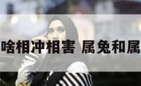 属兔和属啥相冲相害 属兔和属啥的相冲