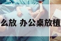 办公桌植物怎么放 办公桌放植物摆哪个角好