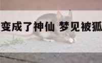 梦见被狐狸变成了神仙 梦见被狐狸变成了神仙了