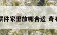 奇石摆件家里放哪合适 奇石摆设