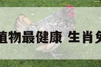 兔肖养什么植物最健康 生肖兔养什么绿植