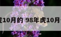 98属虎10月的 98年虎10月份运势