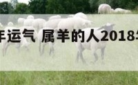 属羊18年运气 属羊的人2018年的运势及运程