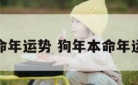 狗年本命年运势 狗年本命年运势查询