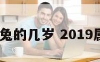 2019年属兔的几岁 2019属兔什么命