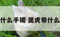 属虎带什么手镯 属虎带什么手镯好