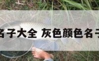 灰色颜色名子大全 灰色颜色名子大全图片