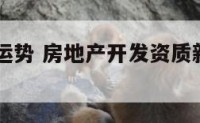 纤细手的运势 房地产开发资质新政策2020