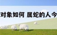 属蛇的今年对象如何 属蛇的人今年婚姻会有什么问题