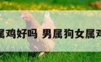 男属狗女属鸡好吗 男属狗女属鸡好吗婚配