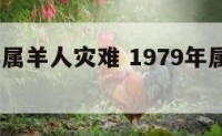 1979年属羊人灾难 1979年属羊一生大劫