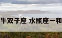 水瓶座和金牛双子座 水瓶座一和金牛双子座