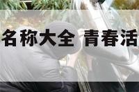 青春活动主题名称大全 青春活动主题名称大全集