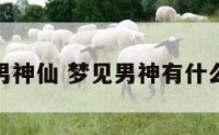 梦贝男神仙 梦见男神有什么征兆