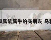 属马的和属鼠属牛的交朋友 马和鼠和牛