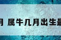 属牛几月 属牛几月出生最好命运