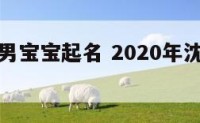 沈姓猪年男宝宝起名 2020年沈姓男宝宝名字