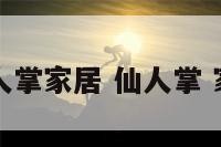 仙人掌家居 仙人掌 家具