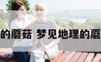 梦见地理的蘑菇 梦见地理的蘑菇好不好