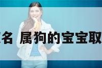 属狗的宝宝取名 属狗的宝宝取名宜用旭字吗