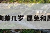 属兔喝属狗差几岁 属兔和属狗大几岁