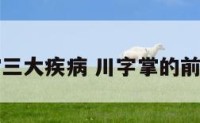 川字掌三大疾病 川字掌的前世今生