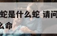 2001年属蛇是什么蛇 请问2001年属蛇的是什么命