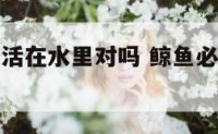 鲸鱼一定生活在水里对吗 鲸鱼必须生活在海里嘛