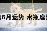 水瓶座运势6月运势 水瓶座运势六月份
