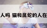猫冲属蛇的人吗 猫和属蛇的人在一起会怎样