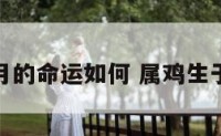 属鸡出生月的命运如何 属鸡生于各月命运