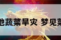 梦见菜地蔬菜旱灾 梦见菜园干旱